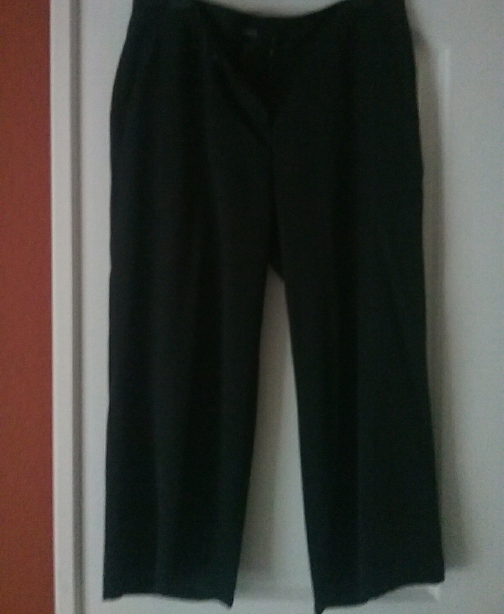 Eileen Fisher Women's Black  Casual Pants